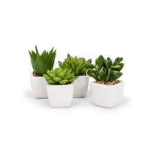 Load image into Gallery viewer, Succulent Plant- Mini Artificial in White Porcelain Tapered Pot Adorned with Stones