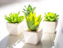 Load image into Gallery viewer, Succulent Plant- Mini Artificial in White Porcelain Tapered Pot Adorned with Stones