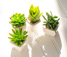 Load image into Gallery viewer, Succulent Plant- Mini Artificial in White Porcelain Tapered Pot Adorned with Stones