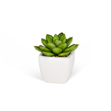 Load image into Gallery viewer, Succulent Plant- Mini Artificial in White Porcelain Tapered Pot Adorned with Stones
