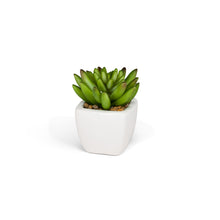 Load image into Gallery viewer, Succulent Plant- Mini Artificial in White Porcelain Tapered Pot Adorned with Stones
