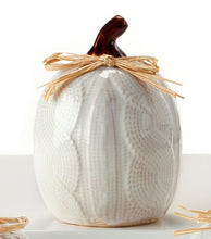 Load image into Gallery viewer, Fall Decor - White Ceramic &amp; Raffia Small Sweater Motif Pumpkins
