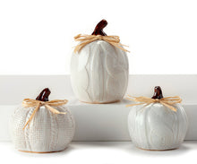 Load image into Gallery viewer, Fall Decor - White Ceramic &amp; Raffia Small Sweater Motif Pumpkins
