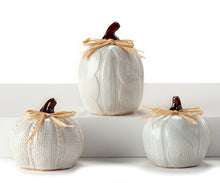 Load image into Gallery viewer, Fall Decor - Ceramic Sweater Pumpkins - White
