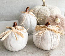 Load image into Gallery viewer, Fall Decor - White Ceramic &amp; Raffia Small Sweater Motif Pumpkins
