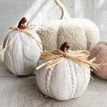 Load image into Gallery viewer, Fall Decor - White Ceramic &amp; Raffia Small Sweater Motif Pumpkins
