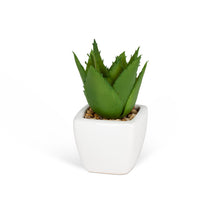Load image into Gallery viewer, Succulent Plant- Mini Artificial in White Porcelain Tapered Pot Adorned with Stones
