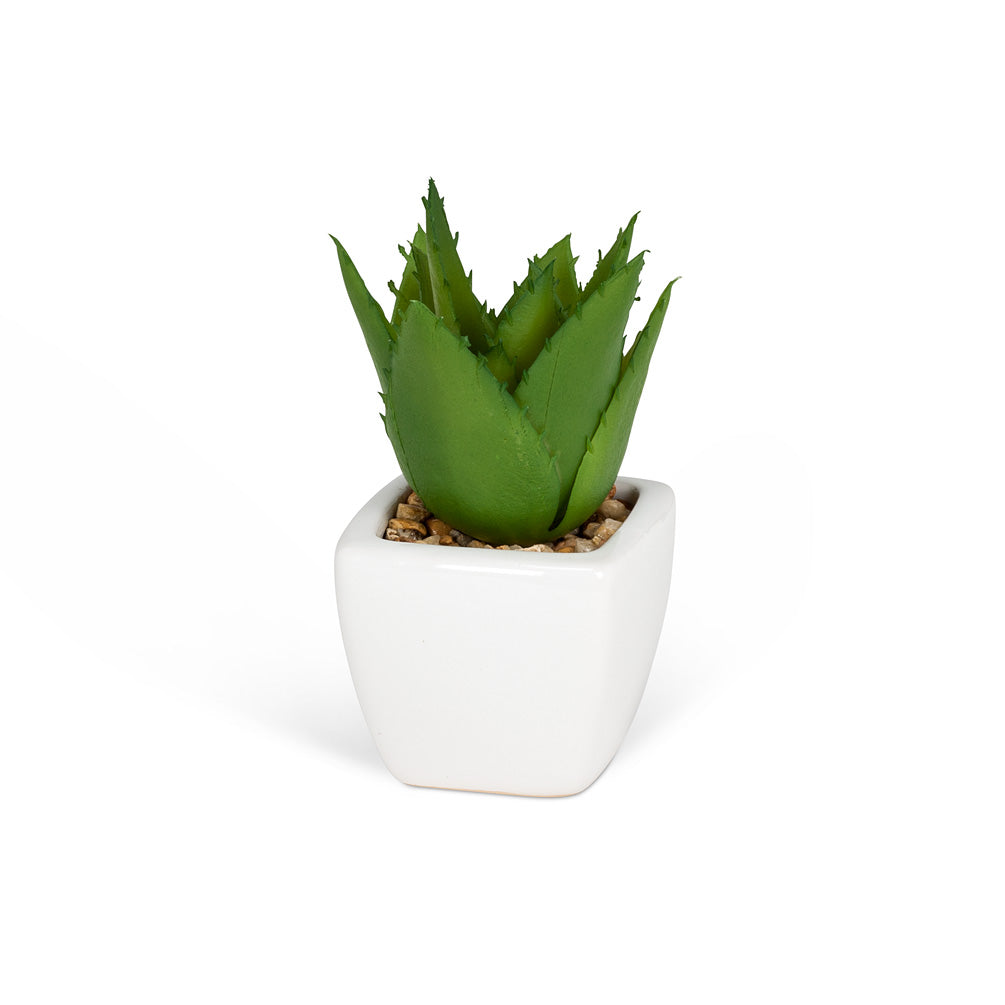 Succulent Plant- Mini Artificial in White Porcelain Tapered Pot Adorned with Stones