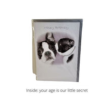 Load image into Gallery viewer, Birthday Greeting Card - Cover Picture: One dog whispering to another - Cover Words: Happy Birthday - Inside Message:  your age is our little secret
