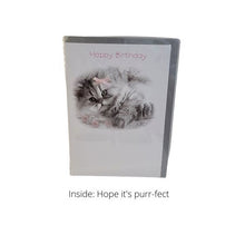 Load image into Gallery viewer, Birthday Greeting Card - Cover Picture: Fluffy Grey Kitten with pink bow - Cover Words: Happy Birthday - Inside Message: Hope it&#39;s purr-fect

