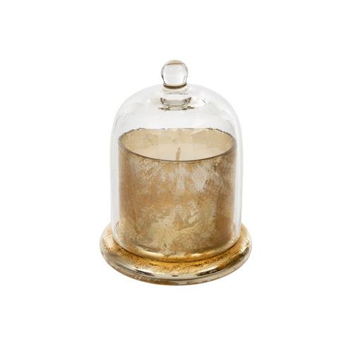 Made from a lovely clear glass with a rounded knob, this cloche allows the beauty of the candle's design to been seen while preserving its scent, and protecting the candle from dust or damage, helping them last longer.  Features a beautiful Amber Spruce scent of wintergreen, and eucalyptus leaves.  LENGTH: 3.25 WIDTH: 3.25 HEIGHT: 4.50 Shown: Gold Cloche